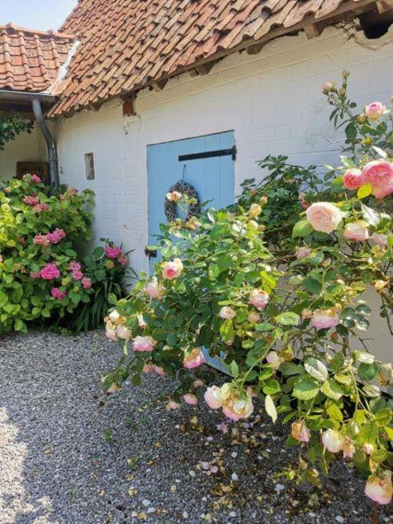 Le Clos De La Rose Gite Bien Etre Wirwignes Ngoại thất bức ảnh